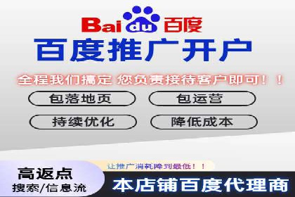 案例解析：百度推广排名提升的实战技巧